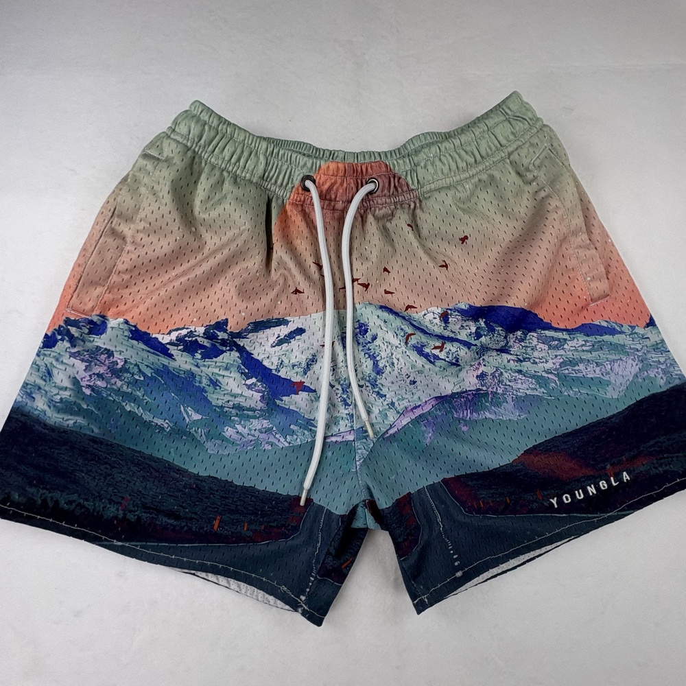 YoungLA Shorts Mens Small Multicolor Mesh 4 Inseam Mountain Print Gym Training